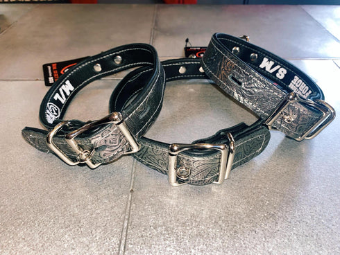 Locking Buckle Collar - Metallic